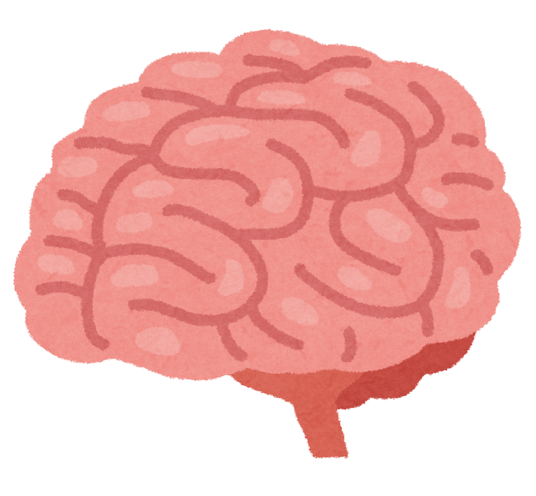 body_brain_nou